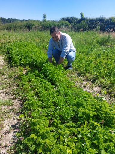 Séance d'infos pour les abos de légumes