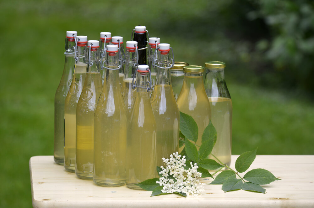 Sirop de fleur de sureau 50 cl
