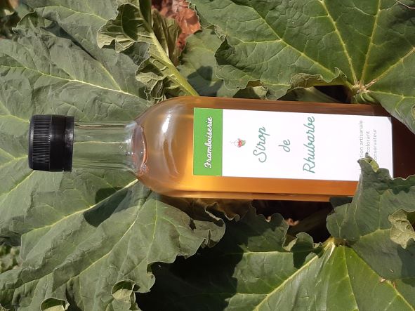 Sirop de Rhubarbe 25 cl 