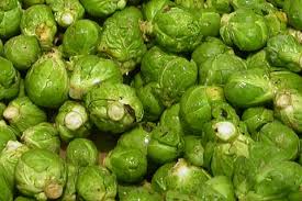 Chou de Bruxelles 