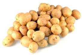 [5102] PDT grenailles (nouvelles) 