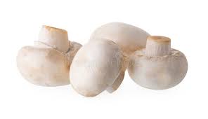 Champignons blancs gros