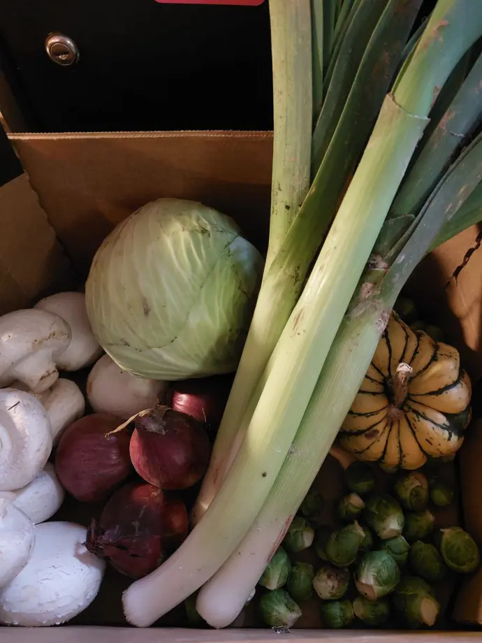 Panier de légumes BIO pour 1 personne ( 5 à 10 légumes de saison)