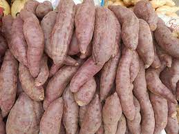 Patate Douce AU KG