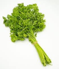 Persil frisé Bio F5B la botte