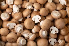Champignon brun ravier de 500 g