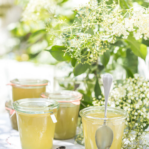 Gelée de fleurs de sureau